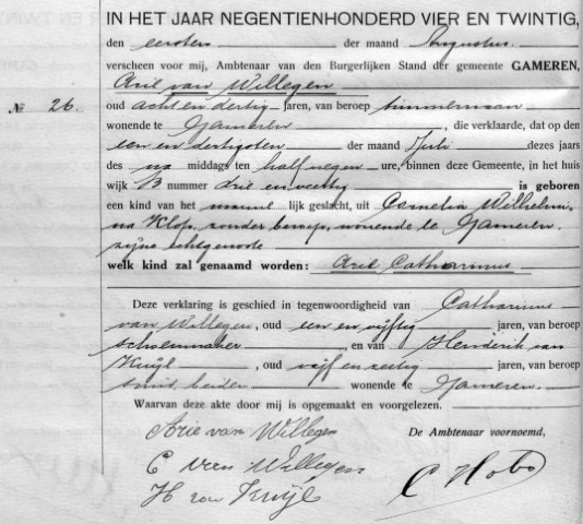 Arie Catharinus van Willegen 1924